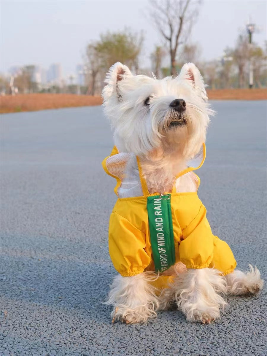 Pet Dinosaur Rain Coat