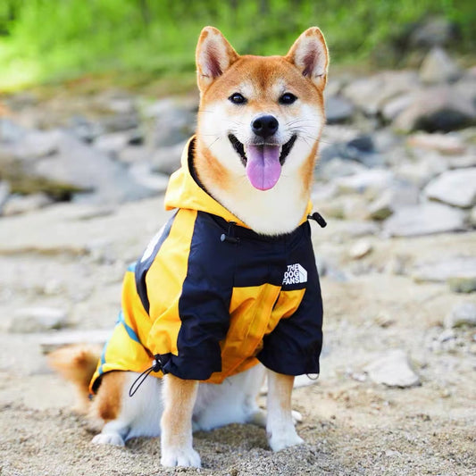 Pet Outdoor Jacket