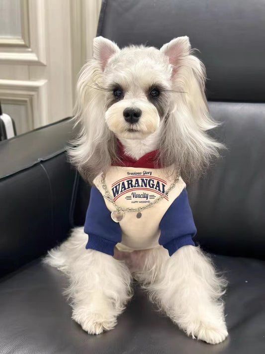 Pet Tri-Color Sports Hoodie