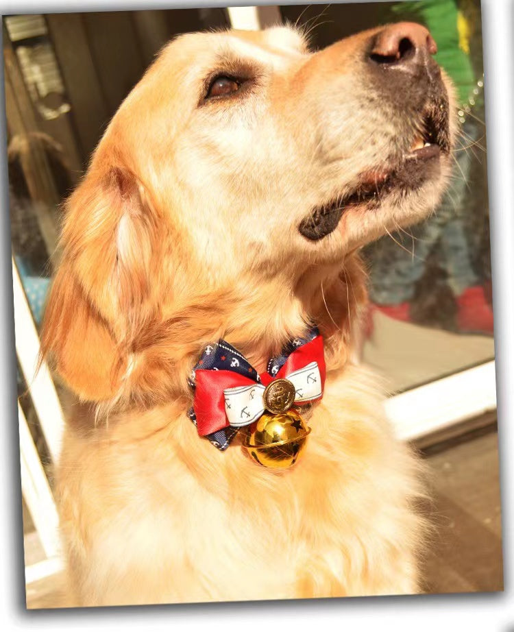 Gift from GOD - Pet Bow Tie with Golden Bell